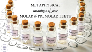 Metaphysical meanings of molars and premolar teeth