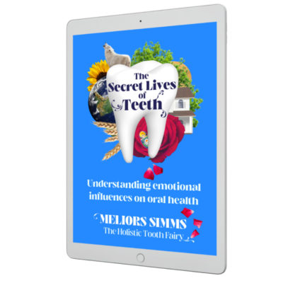 Secret Lives of Teeth ebook