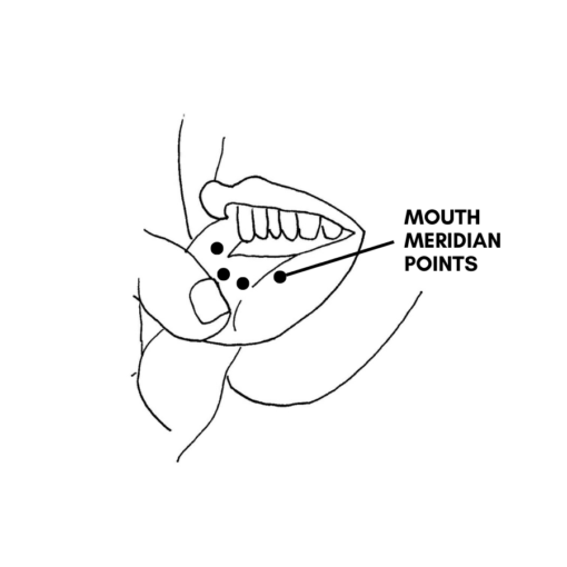 Illustration of mouth meridian points from The Secret Lives of Teeth